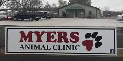 Contact Myers Animal Clinic in Springfield, IL