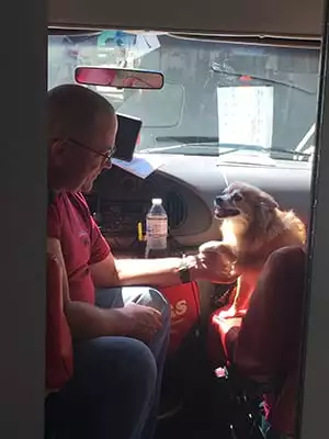 Veterinarian in our van with a dog